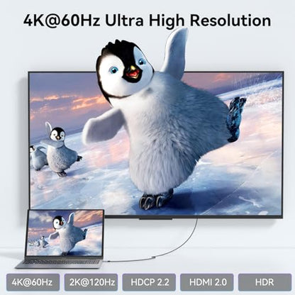 BENFEI HDMI to USB C Cable 6 feet 4K@60Hz, Unidirectional HDMI (Source) to USB-C (Display) Adapter for MacBook, Steam Deck, PS5/4, Nintendo Switch, AR/XR, Portable Monitors