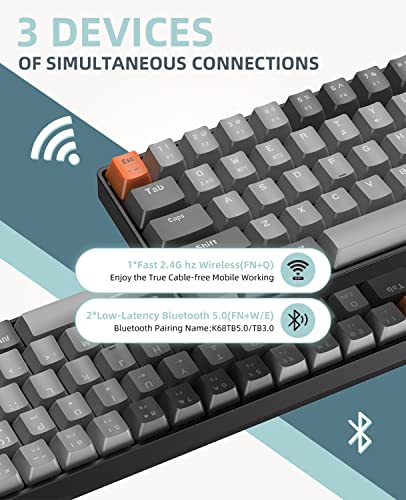 ZIYOU LANG RK68 60% Wireless Mechanical Keyboard,Bluetooth 5.0/2.4Ghz Dual Mode Receiver,Hot-Swappable Mini 68-Key,Retro Color Keycaps,Linear Red Switch,Ultra Power Saving for PC PS4 Xbox iPhone ipad - color: Light gray/Red Switch