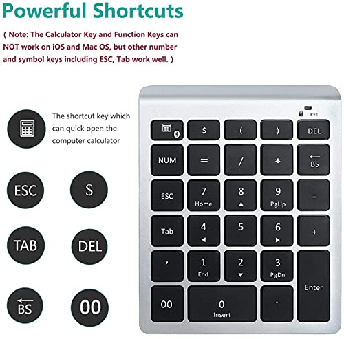 Lekvey Bluetooth Number Pad, 10 Keys Numeric Keypad Portable Wireless Bluetooth Keypad : 28-Key Numpad Extensions for Financial Accounting Data Entry for Laptop Surface Pro Tablets Windows, Silver - color: Silver