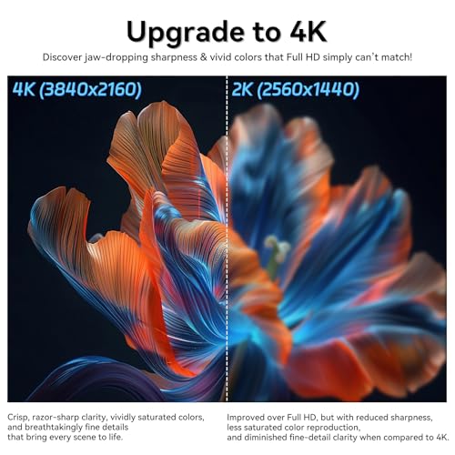23.8" Portable Monitor, Ultra HD 3840x2160 IPS Display, 100% sRGB, Metal casing,DC Eye Care, Plug & Play,Large Portable Monitors are Better Suited for Watching World Cup Matches. - size: 23.8"
