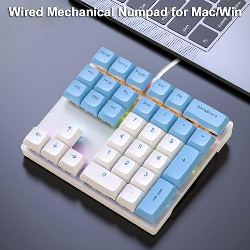 Mechanical Numpad Rainbow Backlit Smooth Red Switches Wired USB Number Pad 33-Key NKRO Numeric Keypad with XDA PBT Keycaps External Keyboard Num Pad for Laptop, Mac - White Blue - color: White Blue - Red Switch