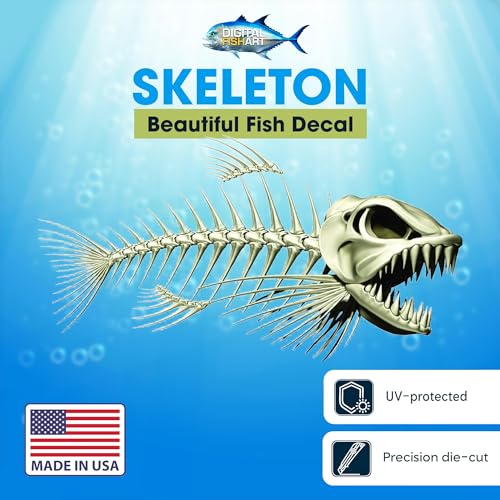 Skeleton Beautiful Fish Decal | Fishing Decal for Boat, Car, Vehicle, Truck Etc. | Waterproof Vinyl Sticker | Many Sizes & Styles Available | 12" to 40" by Digital Fish Art (Medium, Position 1R) - color: Position 1r, size: Medium