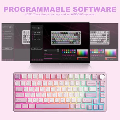 YUNZII B75 PRO Wireless Mechanical Gaming Keyboard | Custom 75% Layout with Knob,Gasket Mount,Hot Swap,Creamy Pre-lubed Switch,BT/USB-C/2.4G(Cocoa Cream V2 Switch,Purple) - color: Purple, size: Cocoa Cream V2 Switch