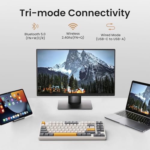 Kisnt KN85 Wireless Mechanical Keyboard, 75% Layout, Bluetooth/2.4GHz/USB-C, Custom RGB Backlit, Hot-Swappable Linear Switch, Creamy Sound for Gaming/Typing (Retro Beige) - color: Retro Beige