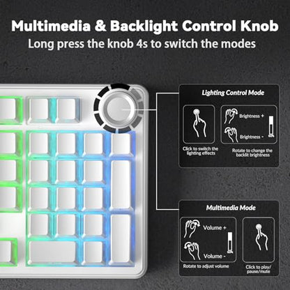 AULA F99 Pro Wireless Mechanical Keyboard-Silent Version,BT5.0/2.4GHz/USB-C Hot Swappable Custom Keyboard,Gasket Structure,Pre-lubed Linear Switches RGB Backlit Computer Gaming Keyboards,White - color: White