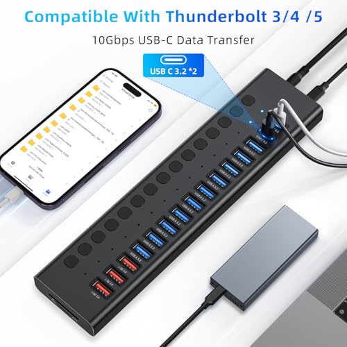 Powered USB Hub 10Gbps, 17 Ports USB 3.2 Hub, 96W Power Adapter | 10 USB-A 3.2, 3 QC 24W Fast Charging, 2 USB-C 3.2, SD/TF, 12V/8A Power Adapter for Laptop, PC, Computer, HDD, Flash Drive - color: Black