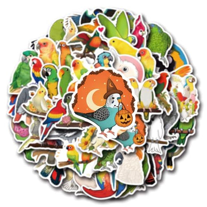 50 Pcs Multicolor Cute Cartoon Parrot Stickers | Colorful parrot cartoon waterproof vinyl decals for laptops, water bottles, uggage, phone cases, and DIY crafts. - style: J-Style05