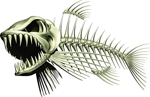 Skeleton Beautiful Fish Decal | Fishing Decal for Boat, Car, Vehicle, Truck Etc. | Waterproof Vinyl Sticker | Many Sizes & Styles Available | 12" to 40" by Digital Fish Art (Large, Position 2) - color: Position 2, size: Large