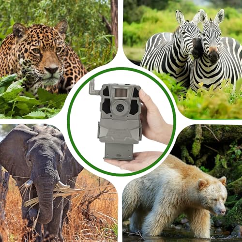 7000mAh Rechargeable Lipo Lithium Battery Trail & Game Camera Battery Compatible with Tactacam Pack Reveal Hunting Camera X, X Pro, Pro 3.0, X Gen 2.0, X Gen 3.0, XB, SK - 7.4V 51.8WH (Pack of 1) - size: 4.8*2.87*1.38inch 1PS