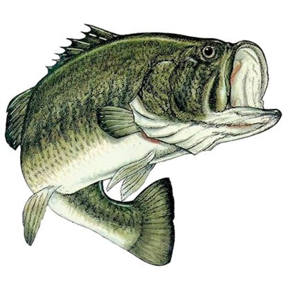 Small Fishing Bass Fish Sticker Decal Fishing Bumper Sticker Fish Auto Decal Car Truck Boat RV Real Life Pole Tackle Box Fisherman (3 Inch) - size: 3 Inch