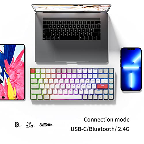 Newmen GM840 Mechanical Keyboard,Wireless/Wired/Bluetooth Gaming Keyboard | Mechanical Keyboard,Wireless/Wired/Bluetooth Gaming Keyboard,75%,RGB Backlit,Hot Swappable,Compact,Computer,PC,Blue Switch - color: Grey/White/Red, size: Blue Switch