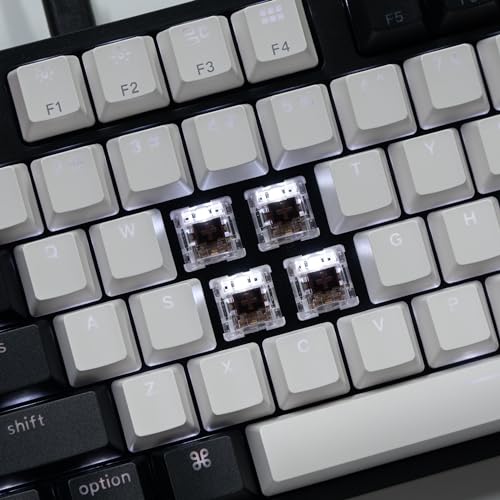 Keychron C2 Full Size 104 Keys Wired Mechanical Gaming Keyboard for Mac Layout, Gateron G Pro Brown Switch/White LED Backlight/Double Shot ABS Keycaps/USB C Computer Keyboard for Windows Laptop