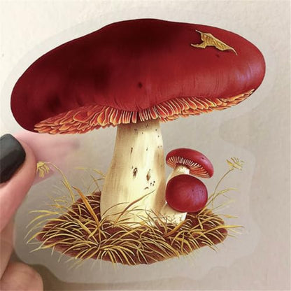 Clear Mushroom Stickers,50PCS Cute Mushroom Scrapbook Stickers for Journaling, Junk Journal, Water Bottles, Phone Cases, Laptops, Waterproof Transparent Scrapbook Supplies(colourful-B10) - color: Colourful-b10