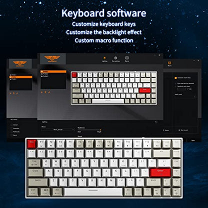Newmen GM840 Mechanical Keyboard,Wireless/Wired/Bluetooth Gaming Keyboard | Mechanical Keyboard,Wireless/Wired/Bluetooth Gaming Keyboard,75%,RGB Backlit,Hot Swappable,Compact,Computer,PC,Blue Switch - color: Grey/White/Red, size: Blue Switch