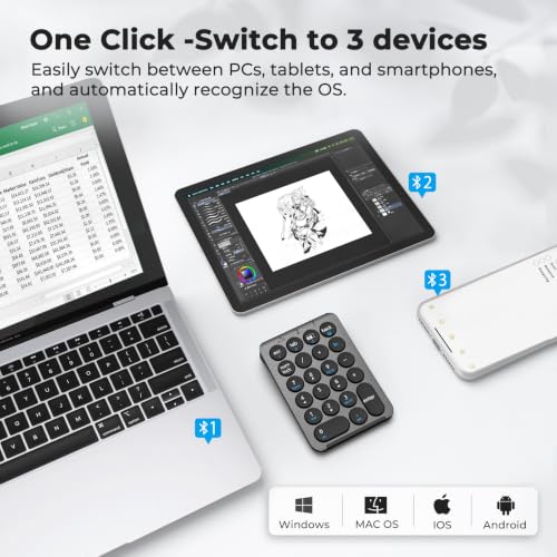 iClever Bluetooth Number Pad, 22 Keys Wireless Numeric Keypad, Rechargeable Mini Portable Numpad with Custom Stickers, Financial Accounting, Data Entry, Compatible with Laptop, Mac, Surface Pro, PC - color: Grey / Black