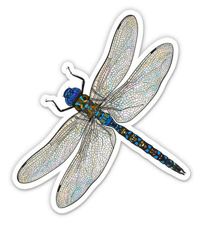 Dragonfly Realistic Pretty Insect - 3" Vinyl Sticker - for Car Laptop I-Pad Phone Helmet Hard Hat - Waterproof Decal - size: 3"