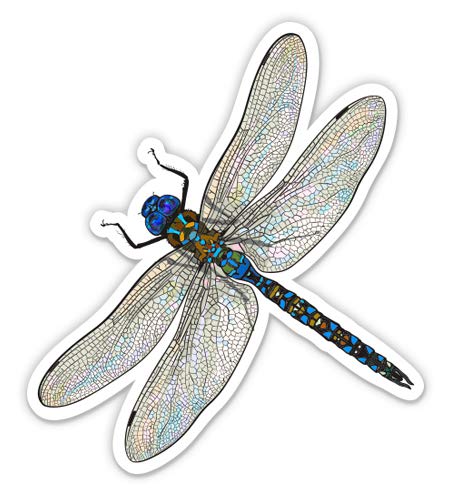 Dragonfly Realistic Pretty Insect - 5" Vinyl Sticker - for Car Laptop I-Pad - Waterproof Decal - size: 5"