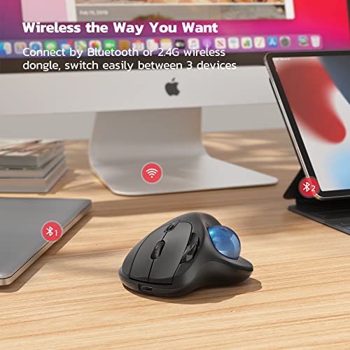 Nulea M501 Wireless Trackball Mouse, Rechargeable Ergonomic, Easy Thumb Control, Precise & Smooth Tracking, 3 Device Connection (Bluetooth or USB Receiver), Compatible for PC, Laptop, Mac, Windows. - color: B-Blue