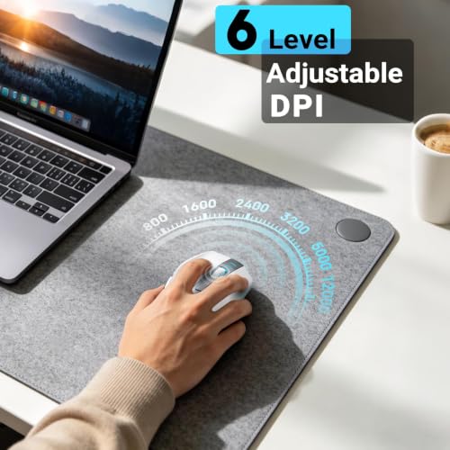 JOYACCESS Wireless Gaming Mouse, Supports Bluetooth/2.4g/Wired Connections 12500 DPI, 1000hz, Rechargeable, 20m Clicks, 6 Buttons, RGB Backlit Ergonomic Mouse for Windows/Mac Gamers (Silver-Gray) - color: Silver-Gray