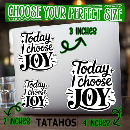 (3Pcs) Today I Choose Joy Sticker Inspirational Quote Vinyl Decal Waterproof Positive Mindset Stickers Motivational Aesthetic Decal Laptop Water Bottle Journal Planner Gifts Women Teens Friends 3 Inch - color: Choose Joy