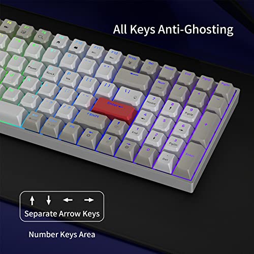 Newmen GM1000 Wireless Mechanical Gaming Keyboard,Bluetooth/2.4GHz/Wired | Hot Swappable, Custom,RGB Backlit,Anti-Ghosting,Wirless Mechanical Keyboards,Number Pad for Mac/Win,drive,Brown Switch - color: G-Brown Switch