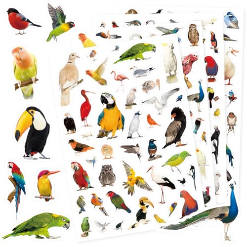 Bird Stickers 850 Count Tropical Bird Parrot Flamingo Peacock Hummingbirds Stickers Animal Party Favors Gifts Sticky Decor for Scrapbook Calendar Planner Gift Wrap Decor - color: Bird