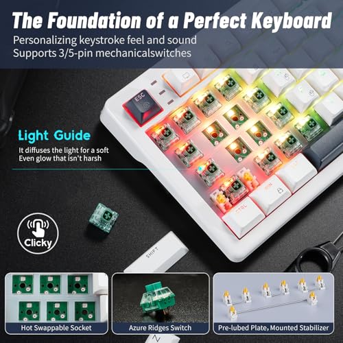 Wireless Mechanical Keyboard with Wrist Rest,Tri-Mode BT5.0/2.4GHz/USB-C Hot Swappable Custom Keyboard,Pre-lubed Clicky Switches,RGB Backlit Computer Gaming Keyboards for PC/Tablet/PS/Xbox(White) - color: White-99keys, size: Clicky