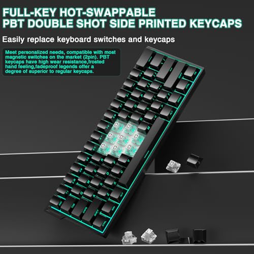 Aula MINI60 HE PRO Wireless Gaming Keyboard 60%,Hall Effect Rapid Trigger Magnetic Keyboard,8000Hz Polling,Tri-Mode(BT5.0/2.4GHz/USB-C),RGB Hot Swappable Compact Mechanical Keyboard for Gamer(Black) - color: Pro-Black Side