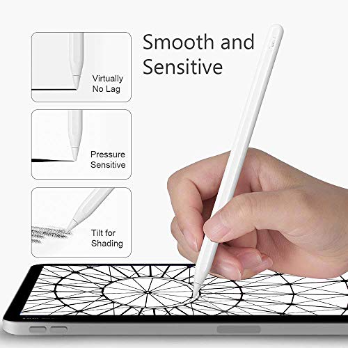 Soft Paperfeel Damping Tips Replacement Compatible with Apple Pencil 1st Gen & 2nd Gen, Noise Reducing Pen Nibs for iPad Pro(2 PCS) - style: 2 PCS (Model: 2B)