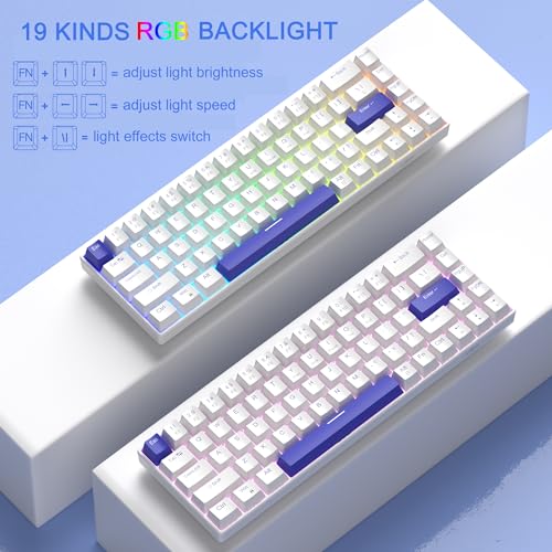 MageGee Portable 60% Mechanical Gaming Keyboard, RGB Backlit Compact 68 Keys Wired Mini Keyboard for Laptop PC Mac, Hot Swappable, Blue Whale Switch - White - color: Klein Blue/Blue Whale Switch