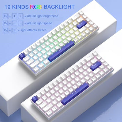 MageGee Portable 60% Mechanical Gaming Keyboard, RGB Backlit Compact 68 Keys Wired Mini Keyboard for Laptop PC Mac, Hot Swappable, Blue Whale Switch - White - color: Klein Blue/Blue Whale Switch