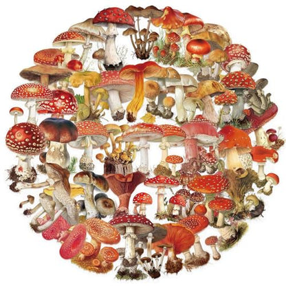 Clear Mushroom Stickers,50PCS Cute Mushroom Scrapbook Stickers for Journaling, Junk Journal, Water Bottles, Phone Cases, Laptops, Waterproof Transparent Scrapbook Supplies(colourful-B10) - color: Colourful-b10
