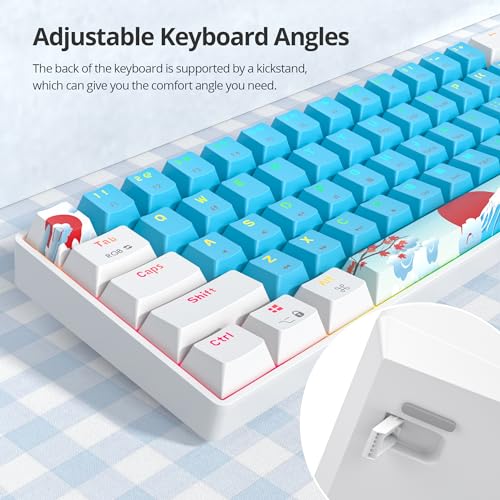 60% Mechanical Keyboard - Compact 60% Gaming Keyboard, RGB Backlit, 61 Keys, USB Wired for Windows Mac Laptop PC (61 Blue/Blue Switches) - color: 61 Blue/Blue Switch