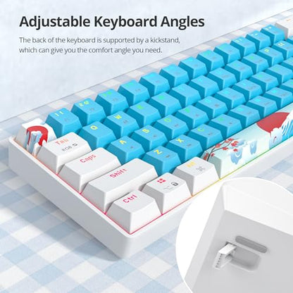 60% Mechanical Keyboard - Compact 60% Gaming Keyboard, RGB Backlit, 61 Keys, USB Wired for Windows Mac Laptop PC (61 Blue/Blue Switches) - color: 61 Blue/Blue Switch