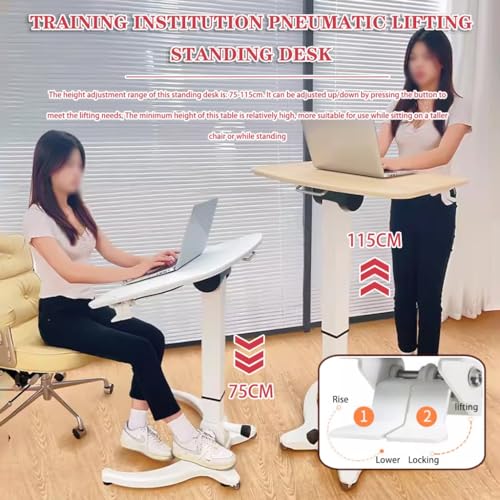 Sit Stand Mobile Workstation Training Institution Lifting Standing Desk, Mobile Flip-up Laptop Desk, Foldable Desktop Side Table, No Installation Required(White) - color: White