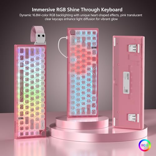 Womier 60% Percent Keyboard Pink Mechanical QMK/VIA Gaming Keyboard | Creamy Keyboard Topographic, Hot Swappable Gasket Mount RGB Wired Key board & Translucent Keycaps (VK66 PRO) - color: V-Pink1