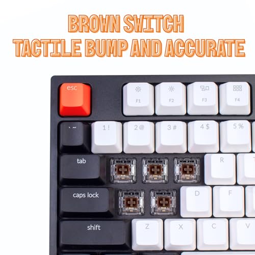 Keychron C2 Full Size 104 Keys Wired Mechanical Gaming Keyboard for Mac Layout, Gateron G Pro Brown Switch/White LED Backlight/Double Shot ABS Keycaps/USB C Computer Keyboard for Windows Laptop