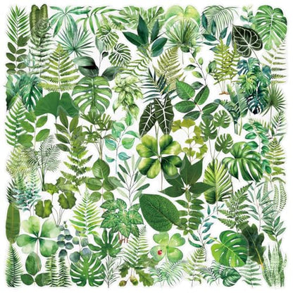 100 Transparent Plant Leaf Stickers for Journaling, Water Bottle & Phone Case Decoration - Waterproof PET Material, Easy Peel & Stick, Aesthetic Vinyl Decals for Teens and Adults,Scrapbooking - style: plant leaf