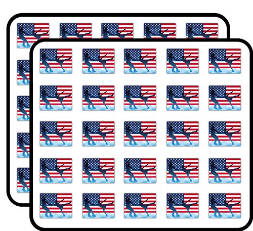 USA Flag Figure Skating Copule Decorative Scrapbooking Sticker Waterproof Vinyl Stickers for Water Bottle, Laptop & Phone Case – 50 Pack
