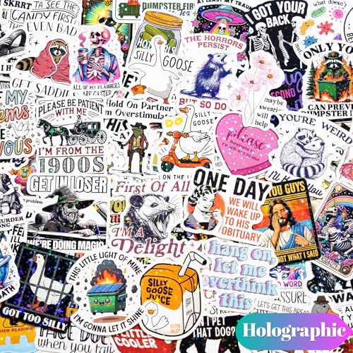 200 PCS Funny Holographic Stickers for Adults, Waterproof Vinyl Sarcastic Meme Decals for Laptop, Water Bottle, Phone, Kindle, Journal, Scrapbook, Bumper, Skateboard, Luggage, No Repeats