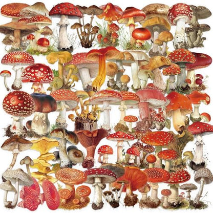 Clear Mushroom Stickers,50PCS Cute Mushroom Scrapbook Stickers for Journaling, Junk Journal, Water Bottles, Phone Cases, Laptops, Waterproof Transparent Scrapbook Supplies(colourful-B10) - color: Colourful-b10